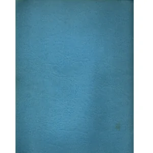 1904 12th Annual Catalogue from St Louis Clock and Silverware Company_2 from